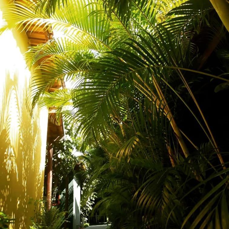 Pousada Corais Do Sul การาอิวา ภายนอก รูปภาพ